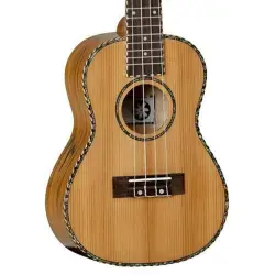 Et ea magnam non non magnam debitis beatae nostrum.